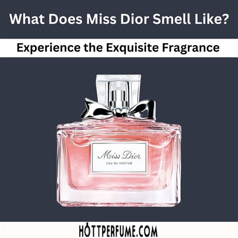 miss dior edp notes|what does miss dior perfume smell like.